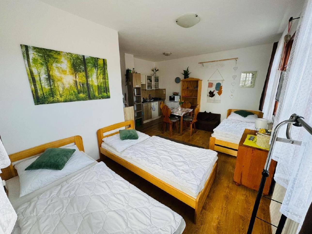 Apartmany Srub Jenisov Horní Planá المظهر الخارجي الصورة